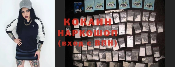 2c-b Горно-Алтайск