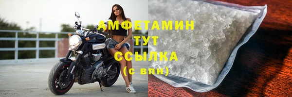 сатива Гусь-Хрустальный