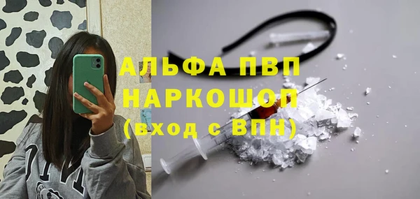 сатива Гусь-Хрустальный
