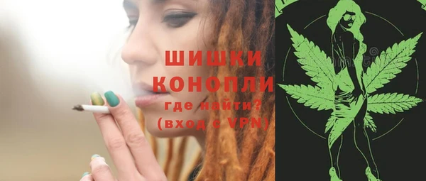 сатива Гусь-Хрустальный