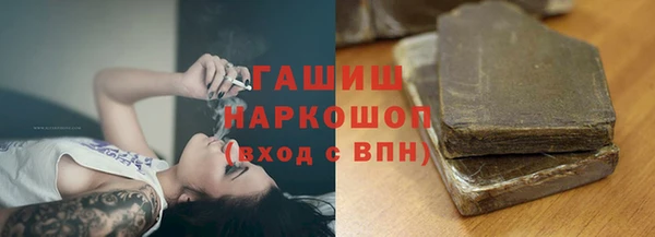скорость Гусев