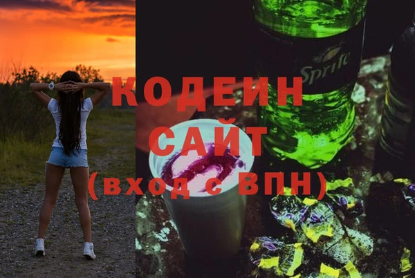 2c-b Горно-Алтайск