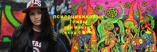 дживик Горняк