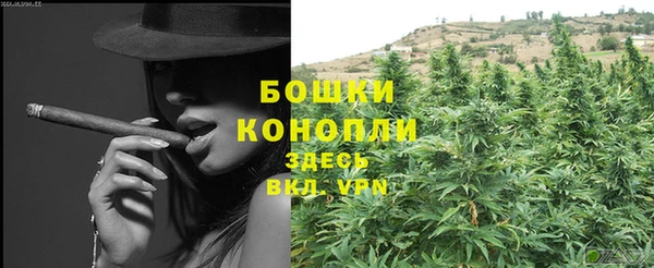 2c-b Горно-Алтайск