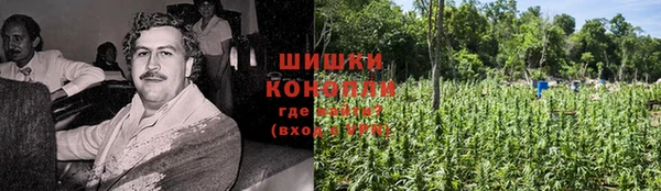сатива Гусь-Хрустальный