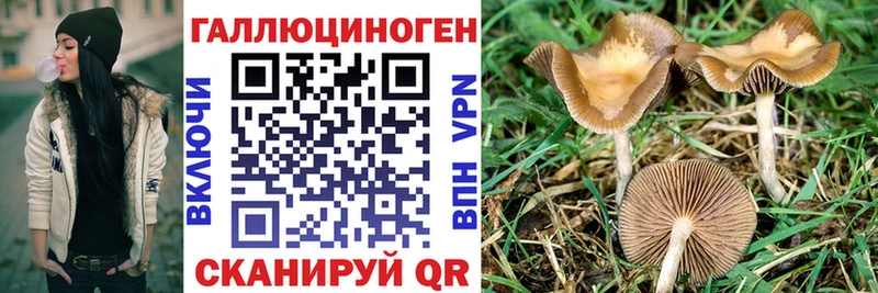 купить наркотик  Пошехонье  omg ссылки  Галлюциногенные грибы Magic Shrooms 